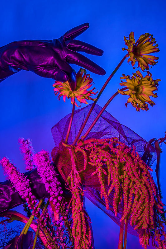 Tender Touch is a photographic collab between Lexy Potts and Bold Botanicals. It depicts a neon garden-scape with leather gloves and flowers suggesting carnal pleasures.